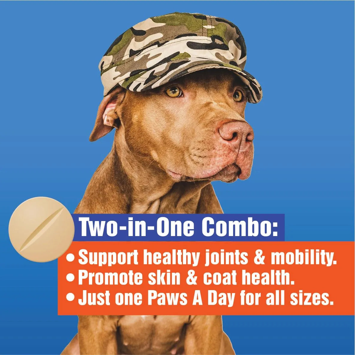 Glucosamina Para Perros Cuidado Articulaciones Mejora Piel Y Pelaje
