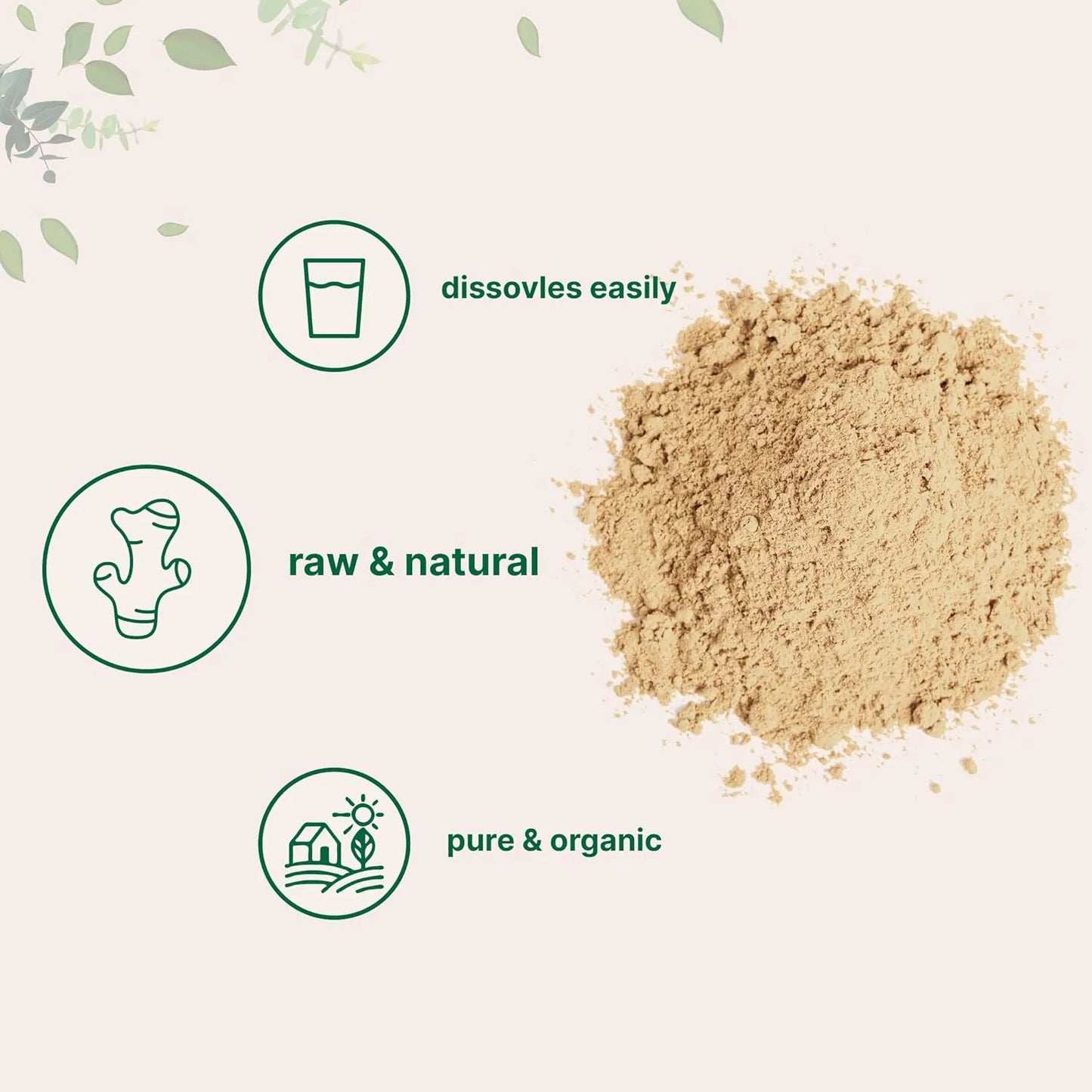 Polvo De Jengibre Organico Premium 2 Lb Especia Pura Para Cocinar Y Te
