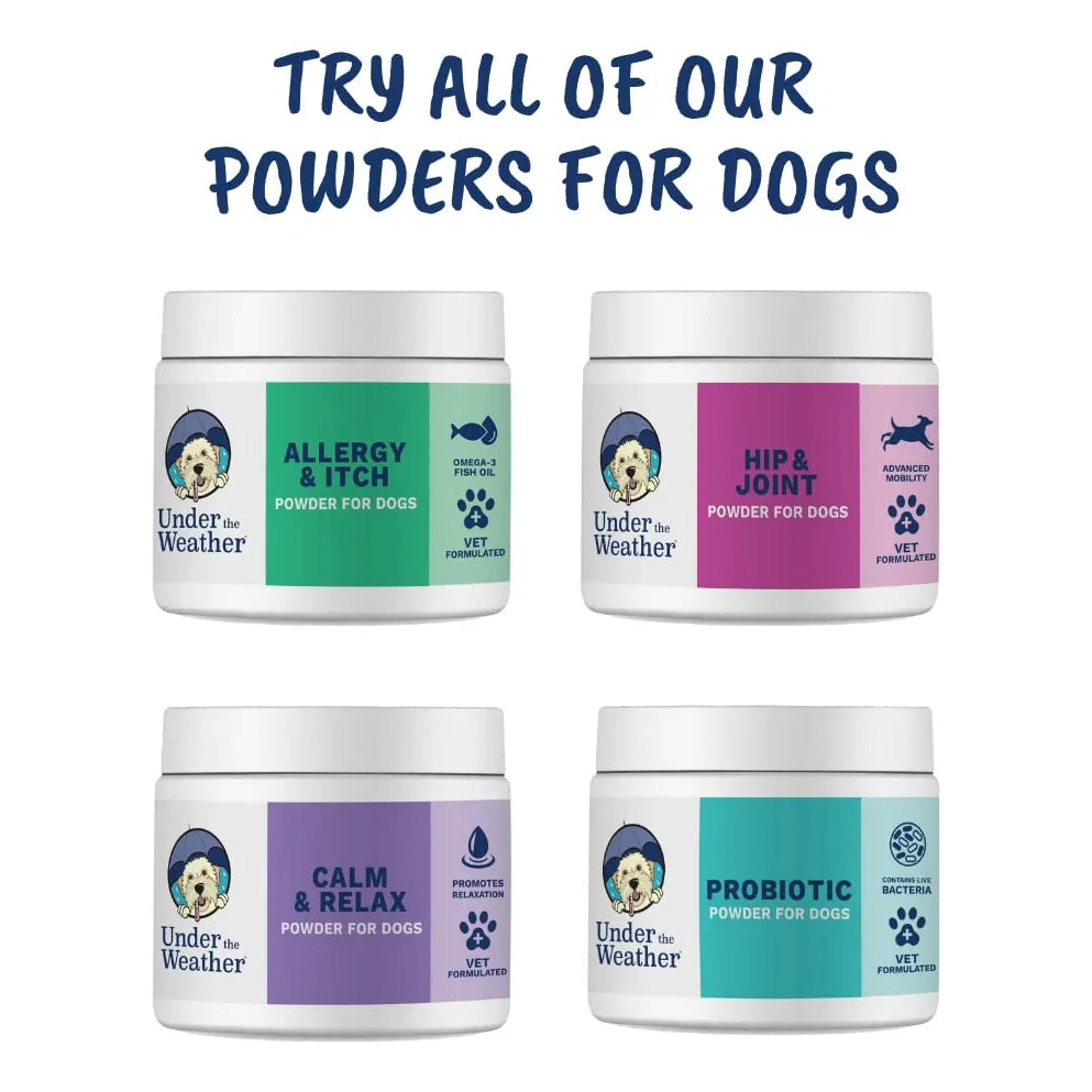 Polvo Probiótico Para Perros Formulado Por Veterinarios Digestión Saludable Y Sabor Pollo