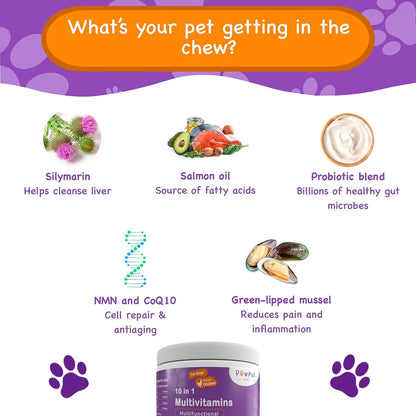 Vitaminas Multifuncionales Para Perros Con Silymarina Mejora Articulaciones Piel Y Digestión