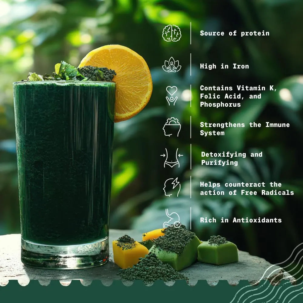 Polvo De Espirulina Orgánica 450g Natural Crudo Vegano Alto En Proteínas