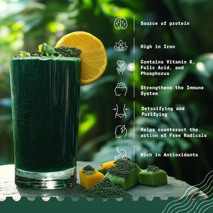 Polvo De Espirulina Orgánica 450g Natural Crudo Vegano Alto En Proteínas
