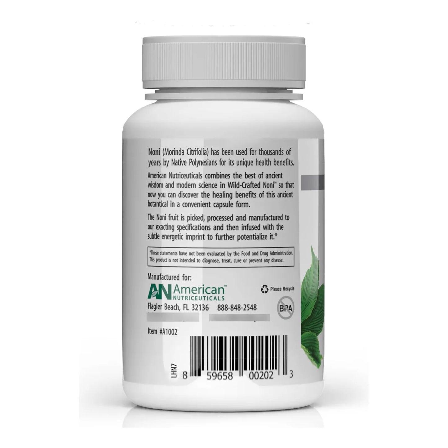 Cápsulas De Noni 60 Unidades Adaptógeno Natural Energía Equilibrada