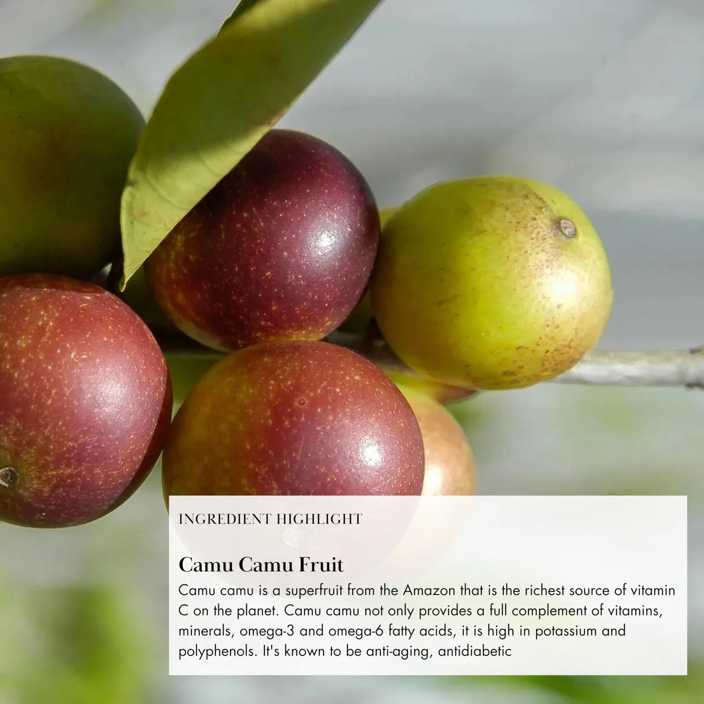 Polvo Potenciador De Colageno Vegano Para Piel Cabello Y Uñas 5 Onzas