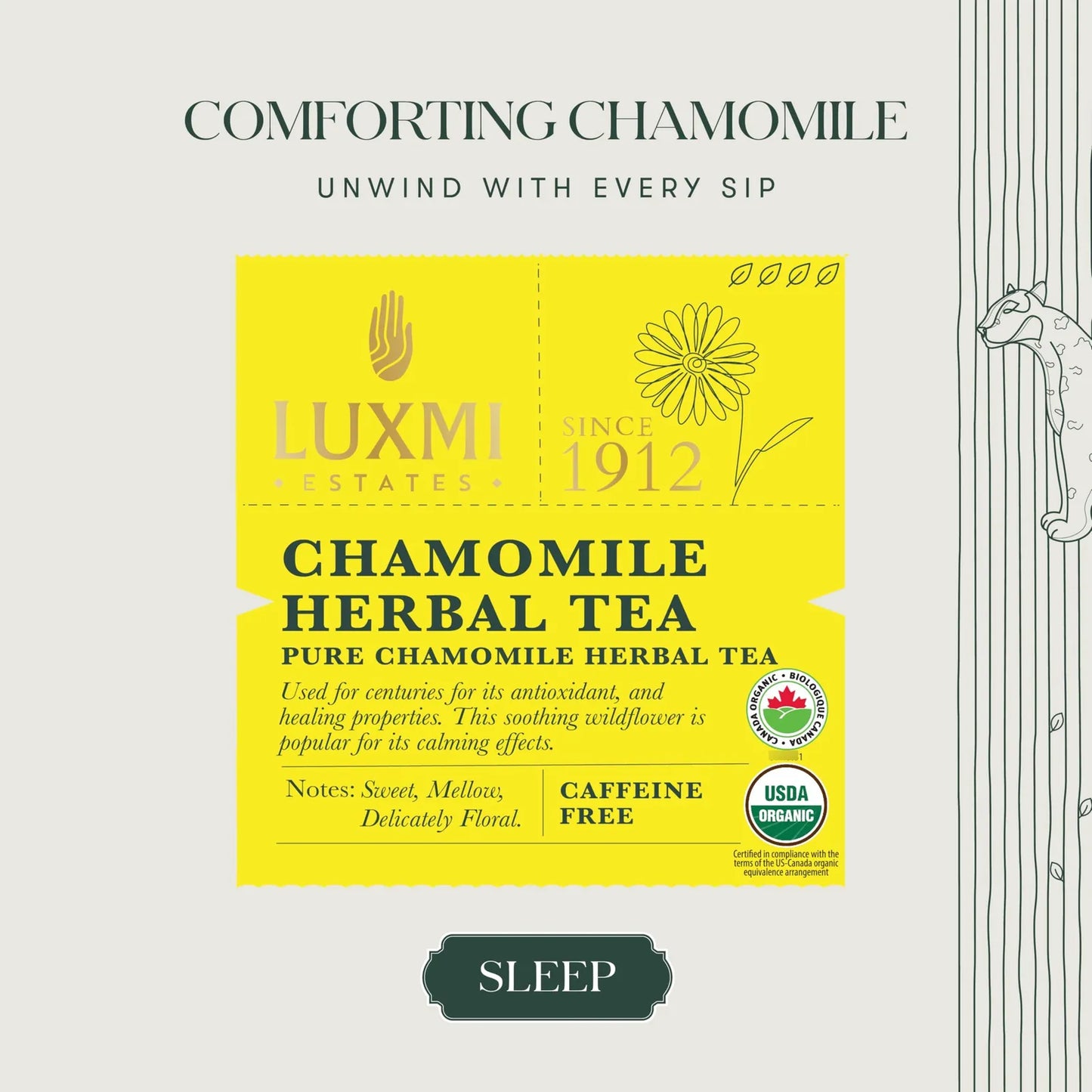 Té De Hierbas De Manzanilla 100 Gr Paquete A Granel 50 Tazas Sin Cafeína
