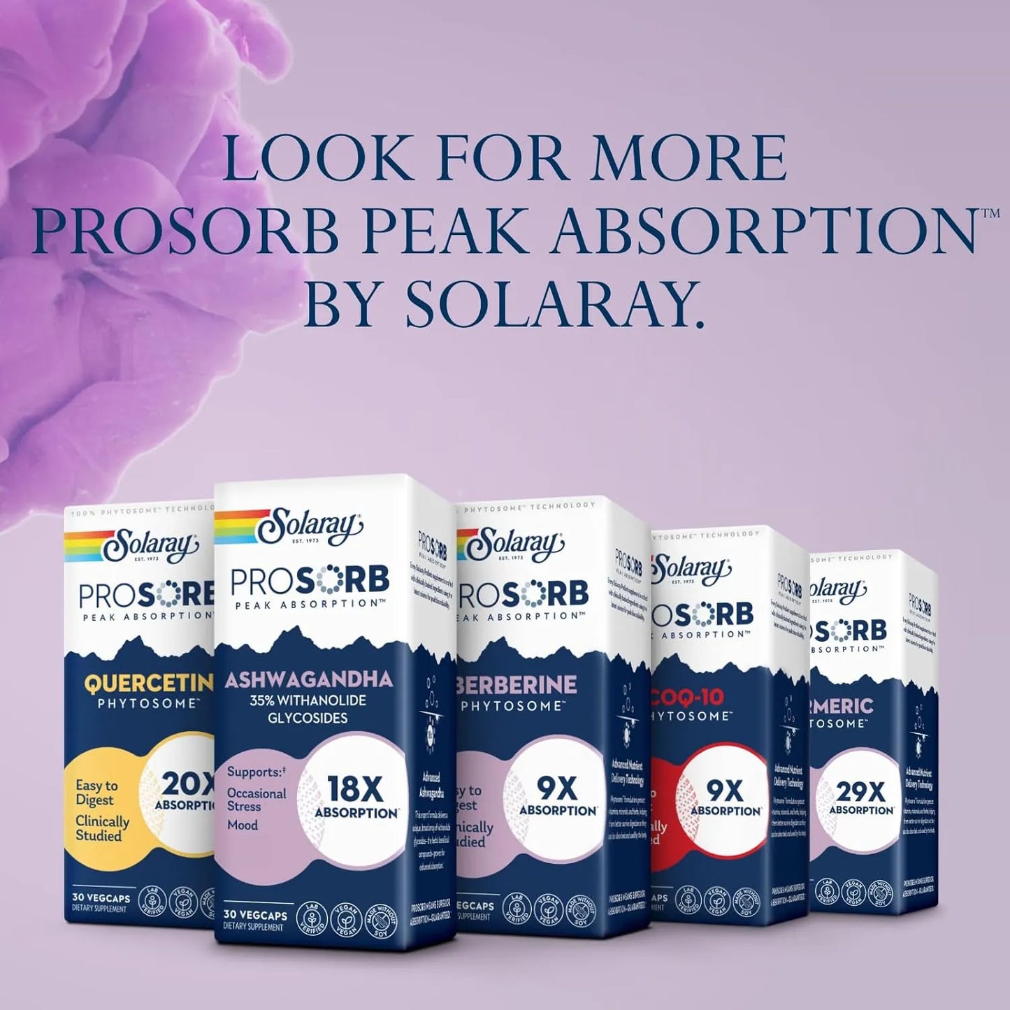 Cápsulas De Ashwagandha 240 Mg Solaray Extracto De Raíz Y Hoja Alivio Del Estrés Vegano