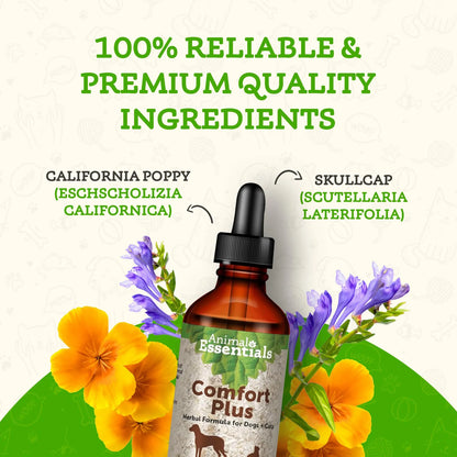 Comfort Plus Gotas Calmantes Para Perros Y Gatos Formula Herbal Relajante Natural