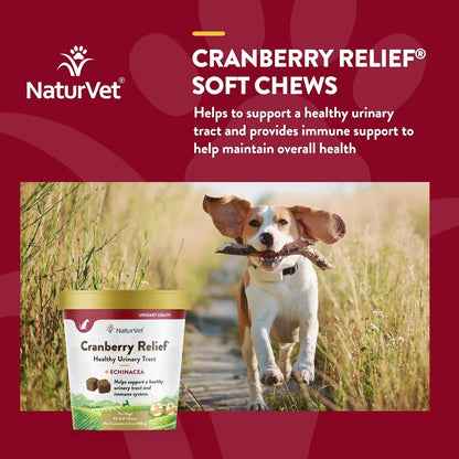 Bocados Masticables Con Arándanos Y Equinácea Para Salud Urinaria E Inmunológica De Tu Perro