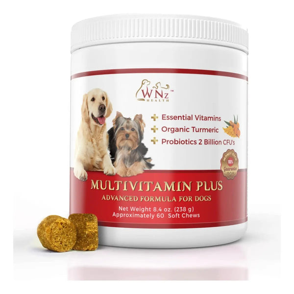 Multivitaminas Probióticos Masticables Para Perros Con Cúrcuma Refuerzo Inmunológico Y Digestivo