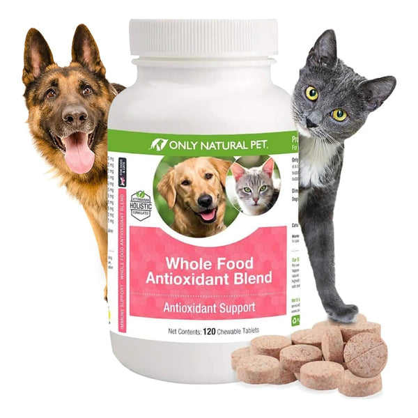 Mezcla Antioxidante De Té Verde Y Bayas Para Perros 60 Gramos Refuerzo Inmunológico Natural