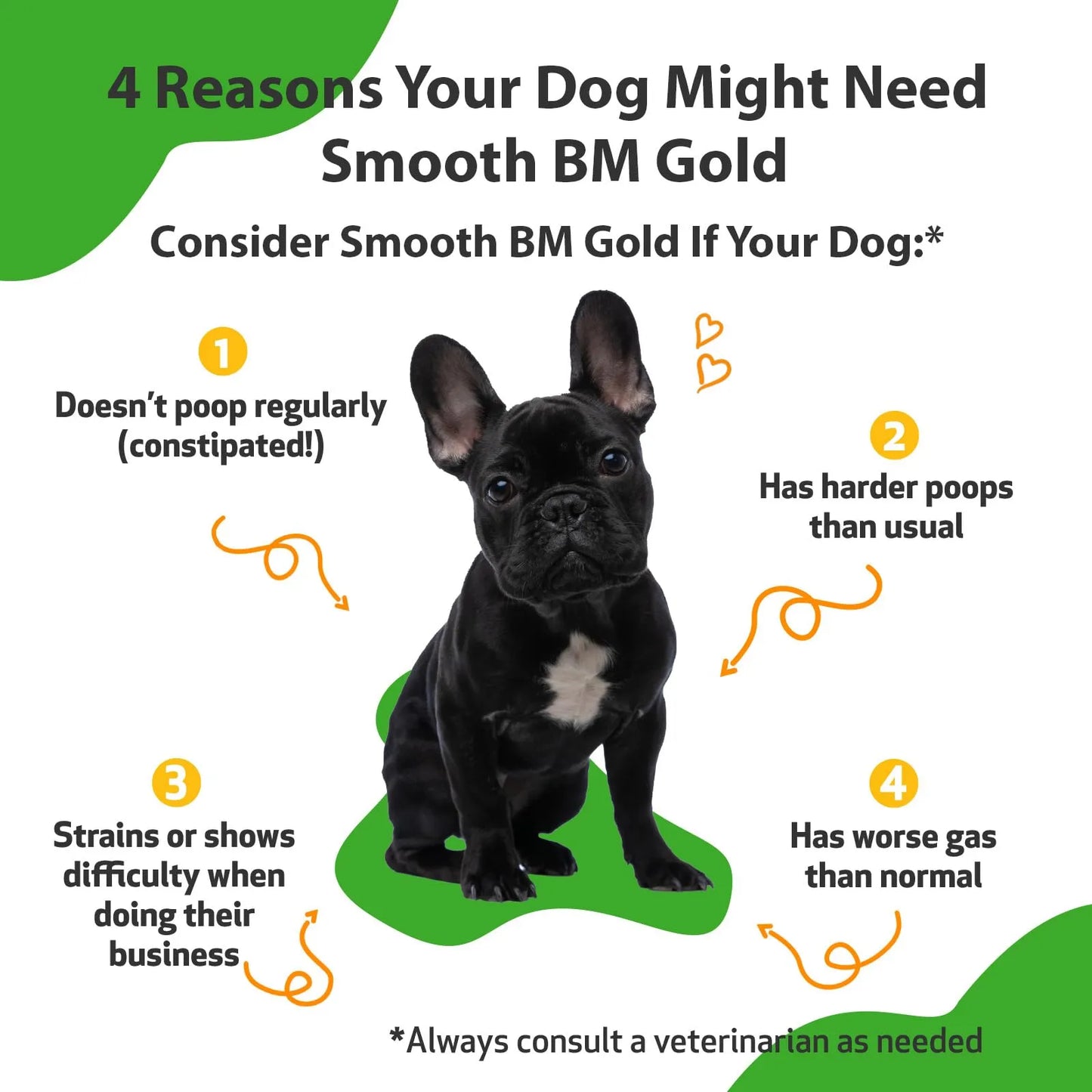 Smooth Bm Gold Para Perros Apoyo Digestivo Natural Triphala 2 Oz