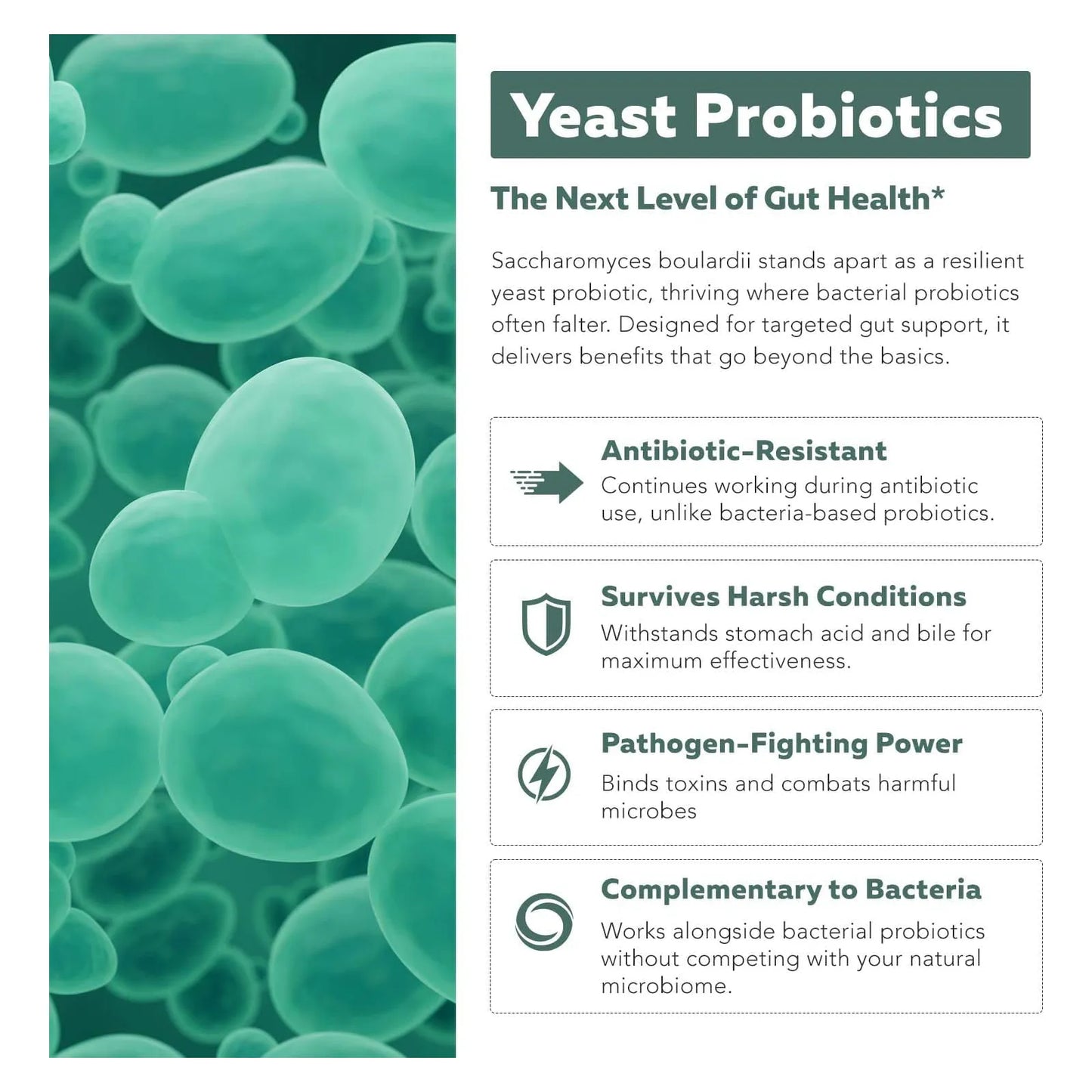 Saccharomyces Boulardii Organico 10 Mil Millones UFC Probiótico Intestinal Premium