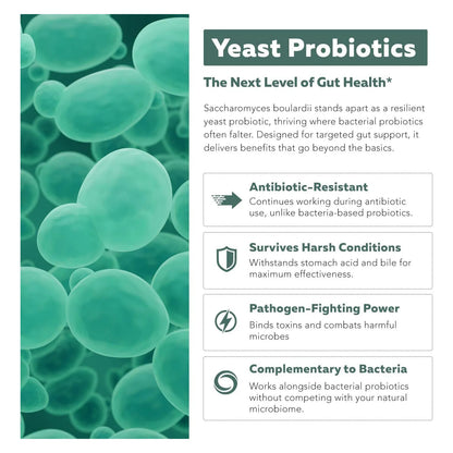 Saccharomyces Boulardii Organico 10 Mil Millones UFC Probiótico Intestinal Premium