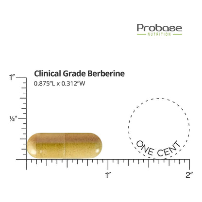 Berberina 1200mg Con Extracto De Canela 120 Cápsulas Vegano Sin Gluten