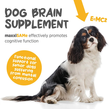 Suplemento Hepatico Y Cognitivo Para Perros MaxxiSAMe 5.3 Onzas