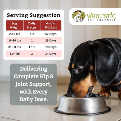 Suplemento Articulaciones Saludables Para Perros Mayores Con Glucosamina Condroitina MSM Alivia Dolor Y Rigidez
