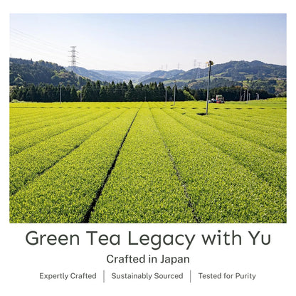 Té Verde Tostado Japonés Orgánico En Polvo Antioxidante Bajo En Cafeína Yu Tea