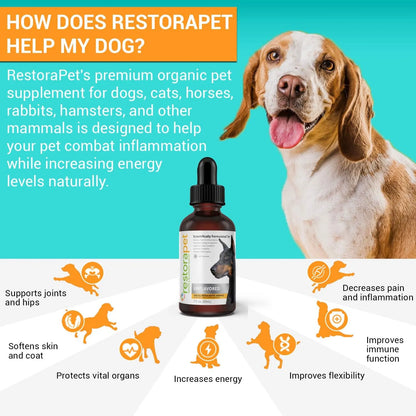 Multivitamínicos Líquidos Para Perros Y Gatos Paquete De 4 A
