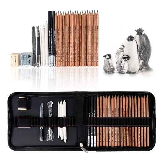 Kit De Dibujo Profesional 29 Piezas Lápices Grafito Para Artistas