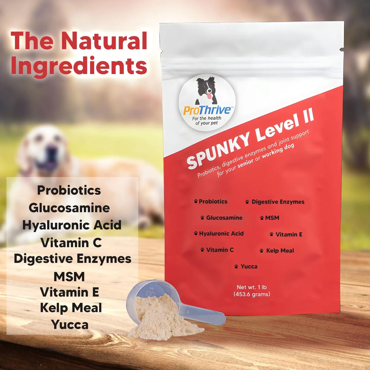 Suplemento Para Articulaciones De Perros Con Glucosamina MSM Y Probióticos Alivia Dolor Y Mejora Movilidad