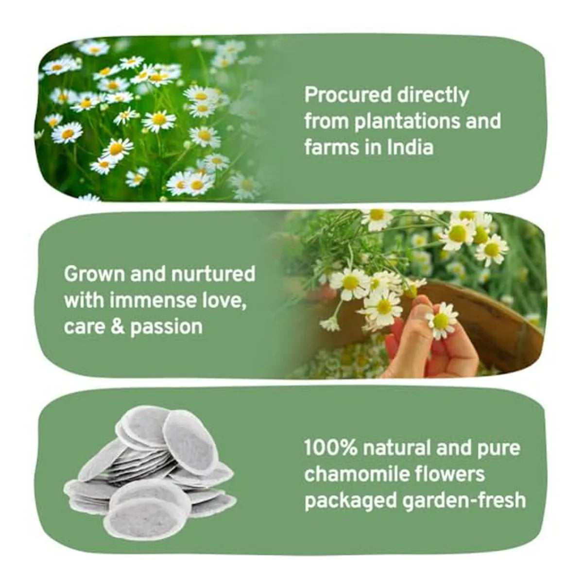 Handpick Té De Manzanilla Bolsas De Té Ecológicas 100 Relajación Natural Y Digestión Saludable