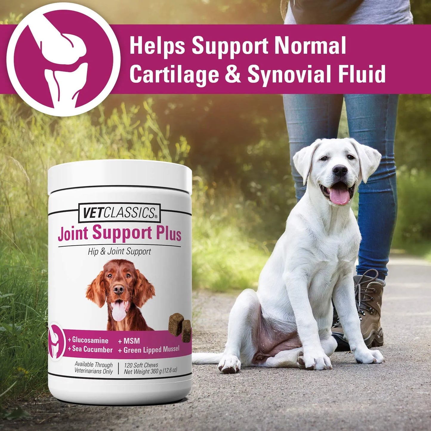 Suplemento Joint Support Plus Para Perros Alivia Dolor Articular Y Flexibilidad 120 Tabletas