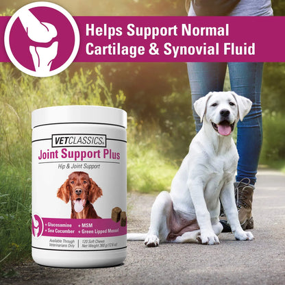 Suplemento Joint Support Plus Para Perros Alivia Dolor Articular Y Flexibilidad 120 Tabletas
