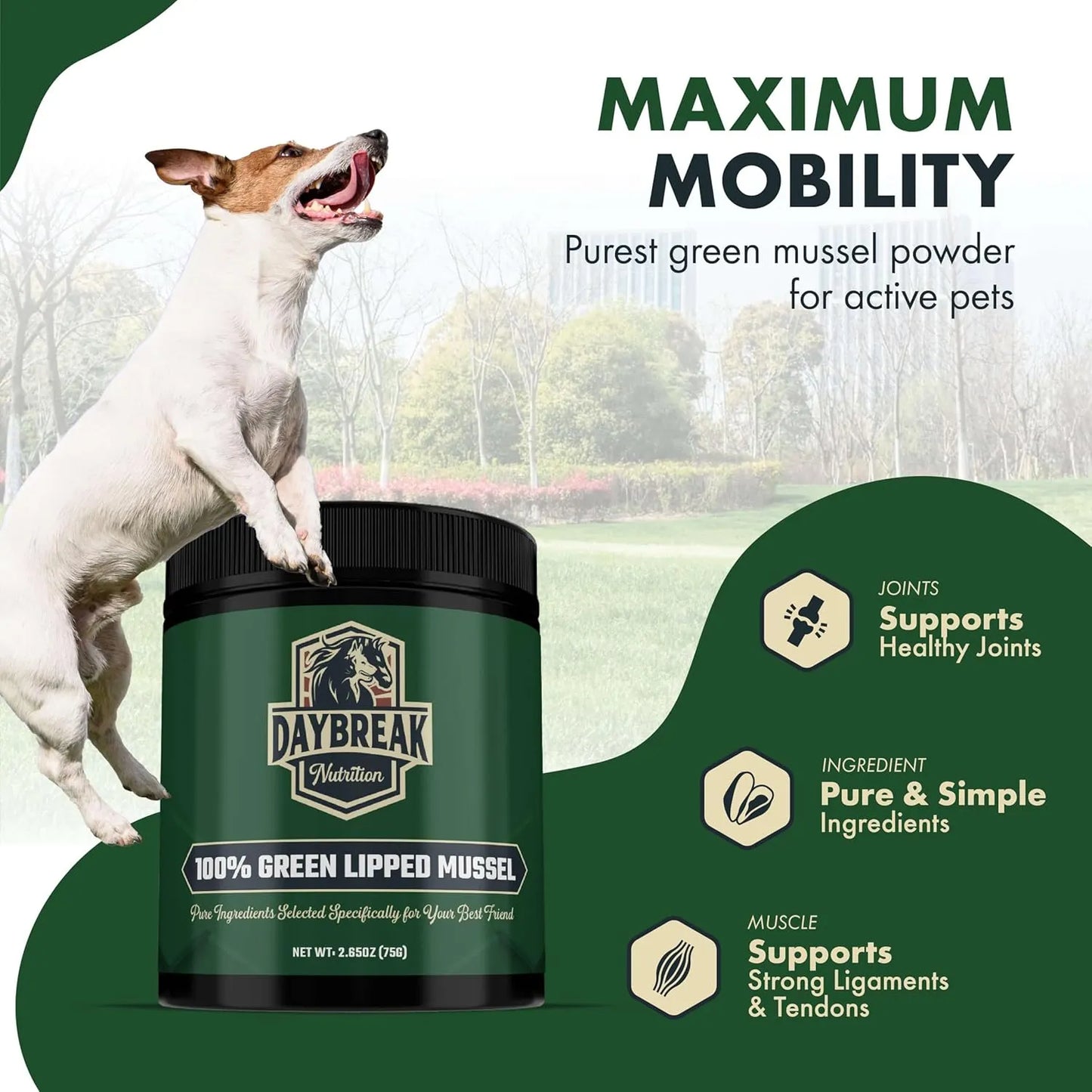 Polvo Puro De Mejillón De Labios Verdes Para Perros Y Gatos Suplemento Articular Premium
