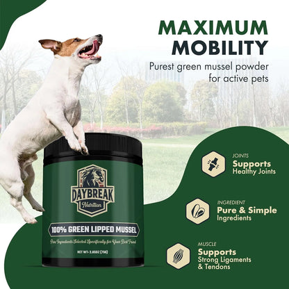 Polvo Puro De Mejillón De Labios Verdes Para Perros Y Gatos Suplemento Articular Premium