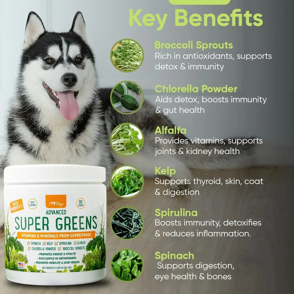 Polvo De Verduras Para Perros Con Brotes De Brócoli Espirulina Suplemento Nutritivo