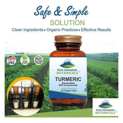 Capsulas De Curcuma Con Pimienta Negra 60 Unidades Veganas Kosher 450 Mg