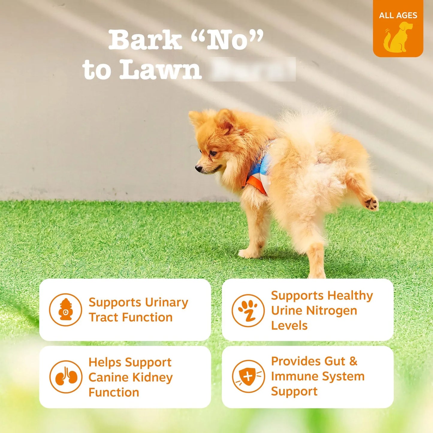 Bocados Stay Green Para Perros Protege Césped Y Salud Urinaria