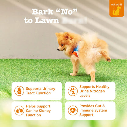 Bocados Stay Green Para Perros Protege Césped Y Salud Urinaria