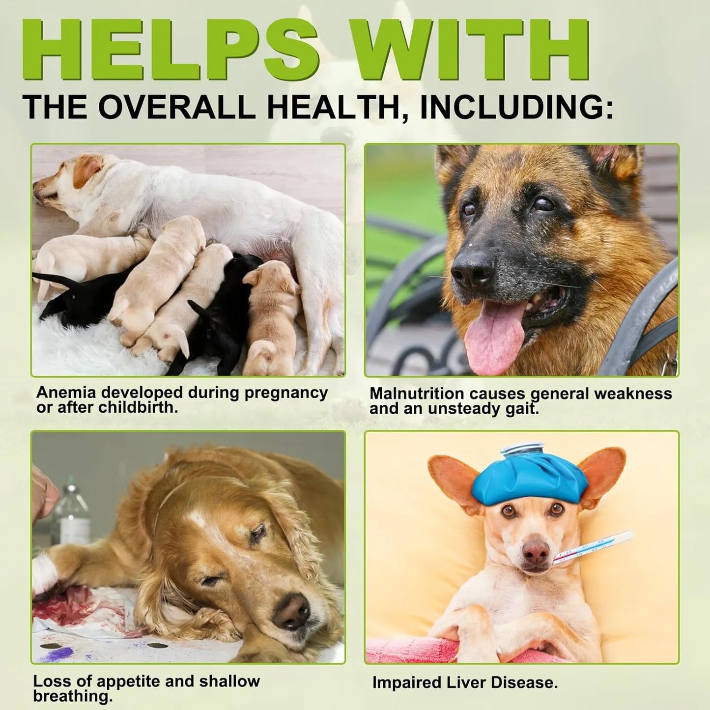 Cardo Mariano Masticable Para Perros 180 Tabletas Apoyo Natural Hígado Y Riñones