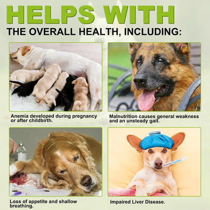 Cardo Mariano Masticable Para Perros 180 Tabletas Apoyo Natural Hígado Y Riñones