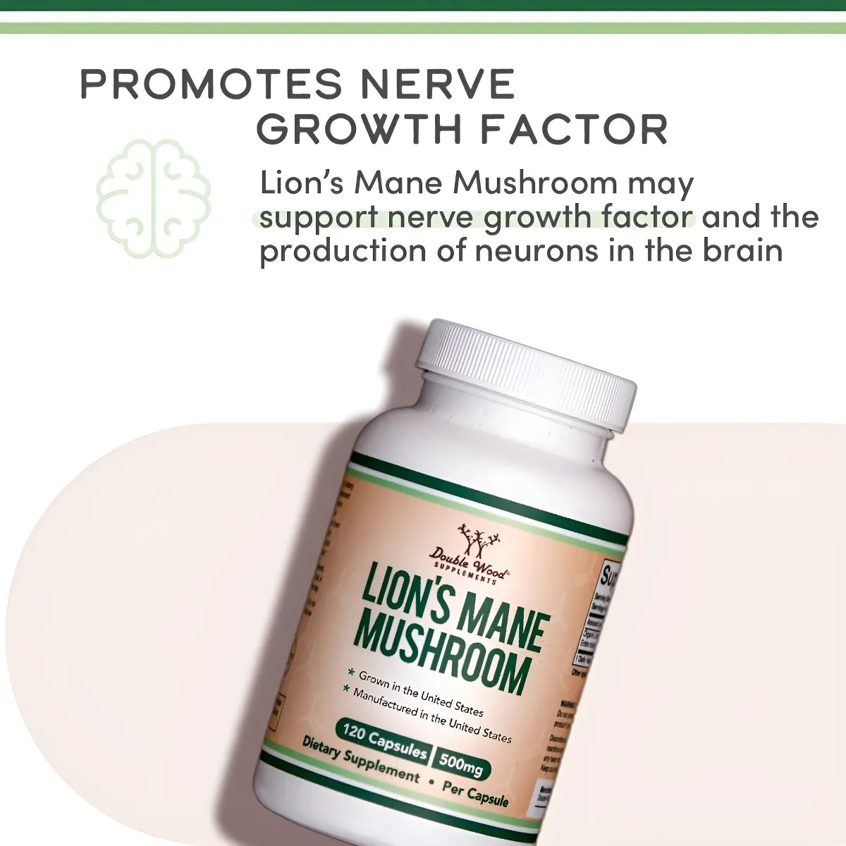 Supplement Lions Mane - Imagen 2