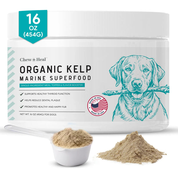 Polvo De Algas Marinas Para Perros 450g Suplemento Natural Para Piel Tiroides Y Dientes
