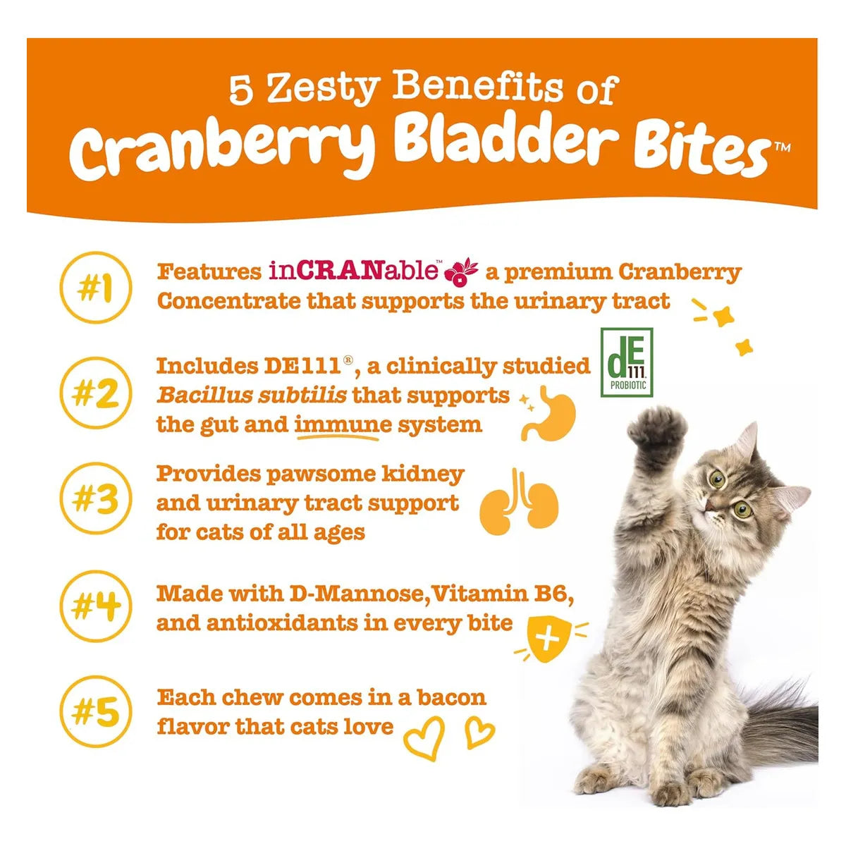 Bocadillos De Arándano Para Gatos Salud Riñones 60 G Snack Renal Natural