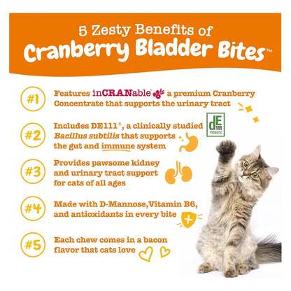 Bocadillos De Arándano Para Gatos Salud Riñones 60 G Snack Renal Natural