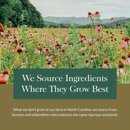 Fitocápsulas Líquidas De Baya De Saúco Negro Gaia Herbs 60 Unidades Apoyo Inmunológico