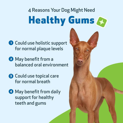 Suplemento Dental Para Perros Encías Saludables Aliento Fresco Pet Wellbeing