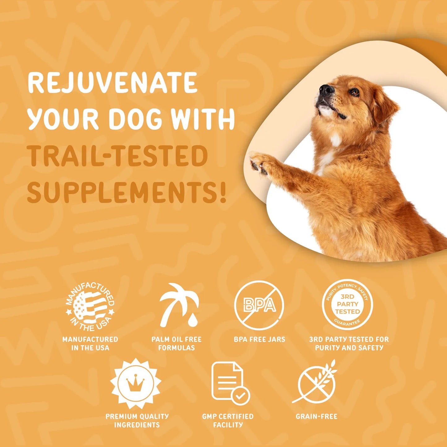 Omega Max Masticables Para Perros Aceite De Salmón Y Linaza Suplemento Para Piel Y Pelaje