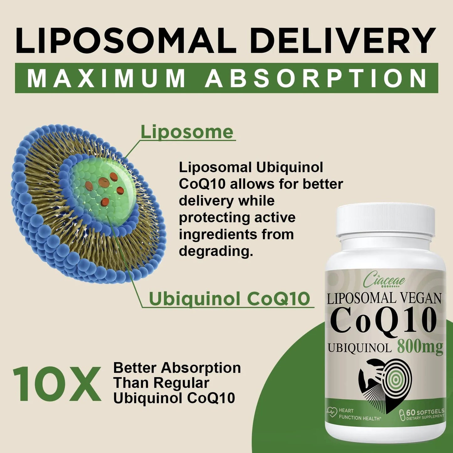 Coenzima Q10 Ubiquinol 800 Mg Cápsulas Antioxidante Energía Y Salud Cardíaca
