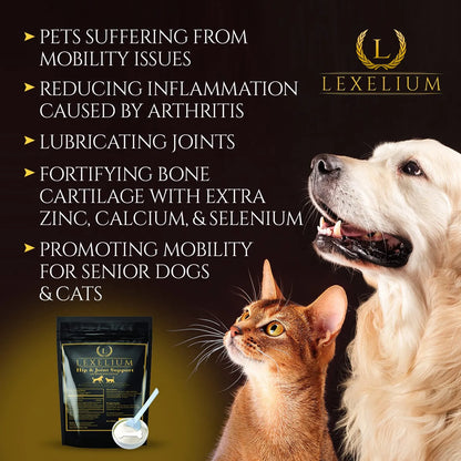 Suplemento Articular Para Perros Y Gatos Con Condroitina Cúrcuma Glucosamina MSM