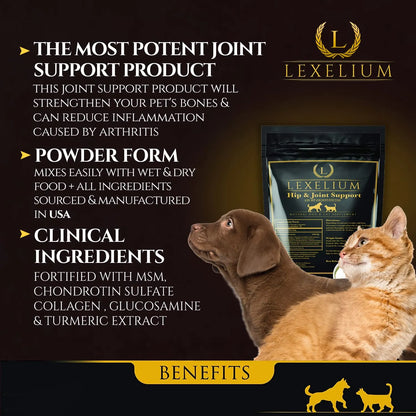 Suplemento Articular Para Perros Y Gatos Con Condroitina Cúrcuma Glucosamina MSM