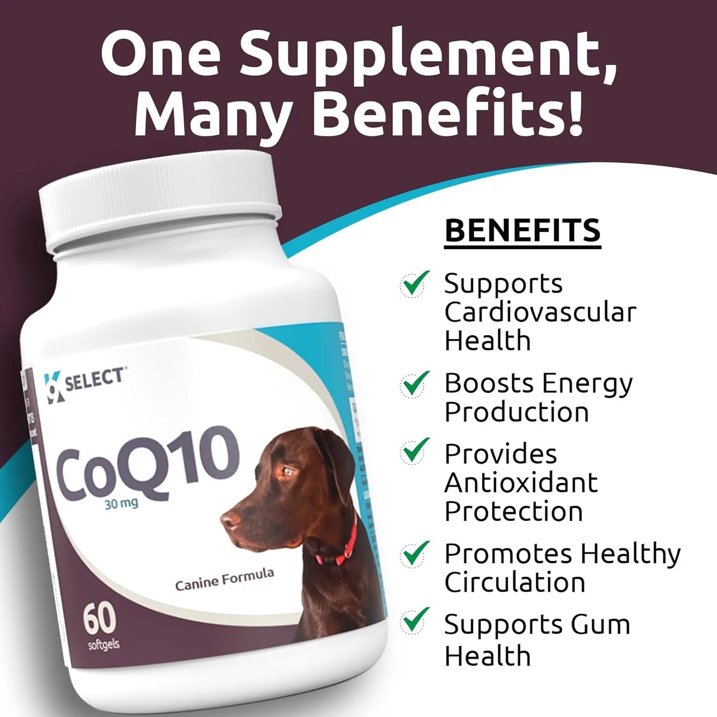 Suplemento CoQ10 Para Perros 30 Mg 60 Capsulas Salud Corazon Y Energia