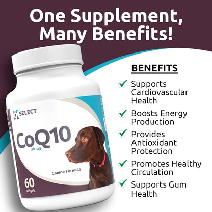 Suplemento CoQ10 Para Perros 30 Mg 60 Capsulas Salud Corazon Y Energia