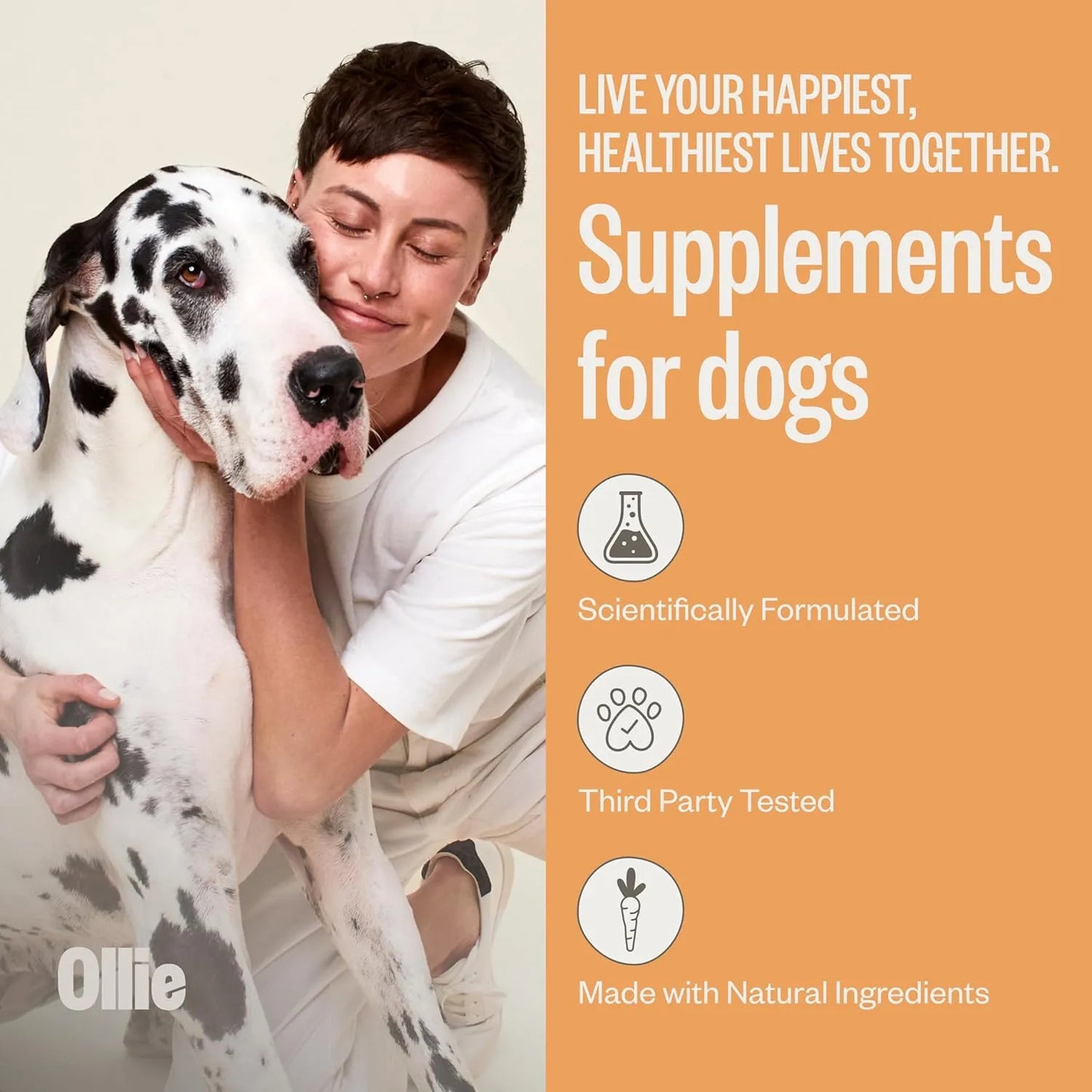 Suplemento Piel Pelaje Perro Alivia Irritacion Promueve Brillo Ollie 60 Unidades