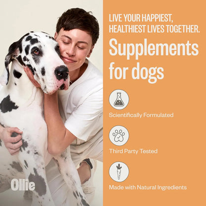 Suplemento Piel Pelaje Perro Alivia Irritacion Promueve Brillo Ollie 60 Unidades