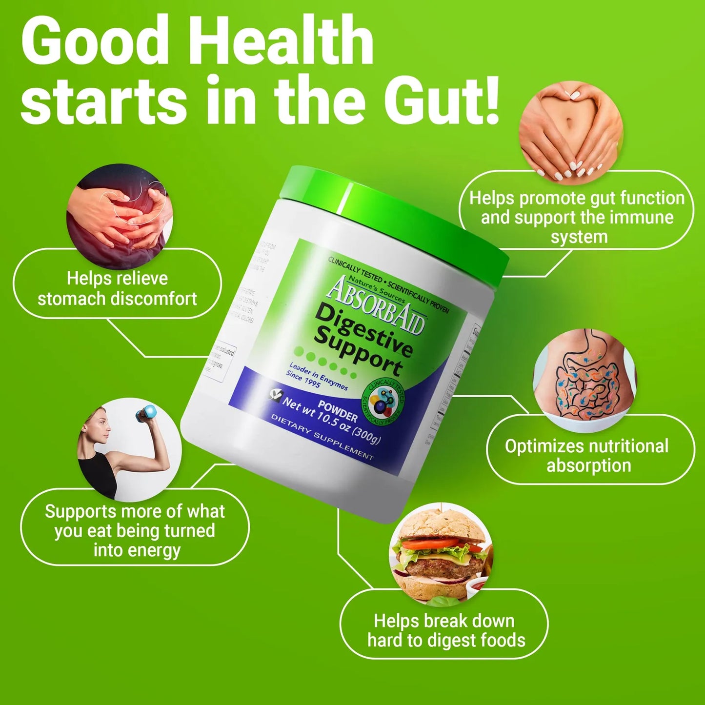 Enzimas Digestivas 300 Gramos Aumenta Absorcion Nutrientes Hasta 71